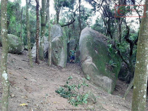 Imagem 5 de 11 de Terrenos À Venda Em Mairiporã/sp - Compre O Seu Terrenos Aqui! - 1483729