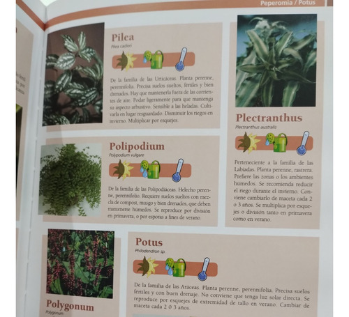 Enciclopedia Practica De La Jardinería