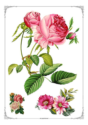 #05 - Flores Vintage - Lámina Transferencias A3 - Rosas Flor