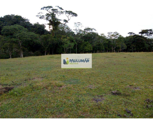 Imagem 22 de 23 de Sítio Com 3 Dorms, Agenor De Campos, Mongaguá - R$ 2.5 Mi, Cod: 827950 - V827950