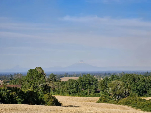 Parcelas En Frutillar, Bosques Y Praderas. Financiamiento
