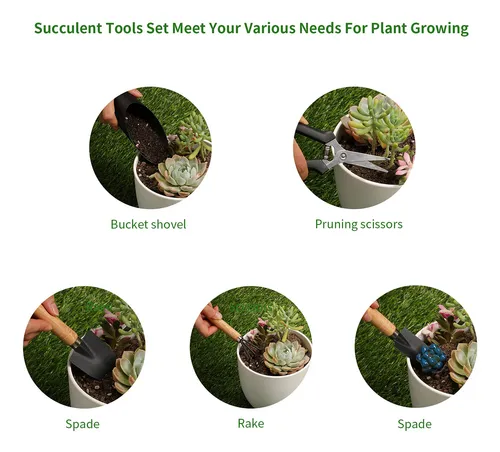 5 Herramientas Para Suculentas, Mini Herramientas De Jardn,