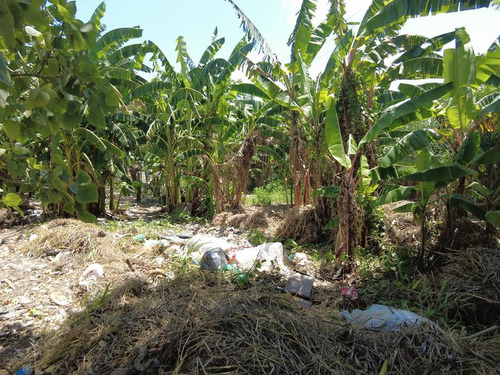 Venta Terreno 1250 M² Col. Manlio Fabio Tuxpan Veracruz