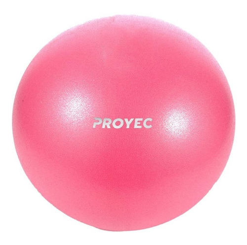 Pelota Yoga Esferodinamia Suiza 25 Cm Importada Gym Ball 