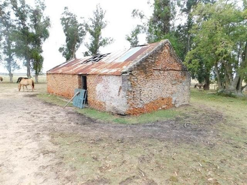 Imagen 8 de 15 de Quinta En Venta En Maldonado