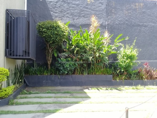 Imagem 4 de 15 de Vendo Predio Comercial 550m² - Parque Renato Maia - Prédio A Venda No Bairro Parque Renato Maia - Guarulhos, Sp - Sc01702