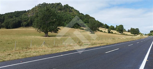 Parcela - 5.000 M2 Cada Una - Cascadas - Puerto Octay