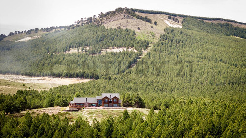 Venta Lote Villa Pehuenia
