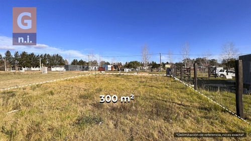 Terreno En Piriápolis (piriapolis) Ref. 5673