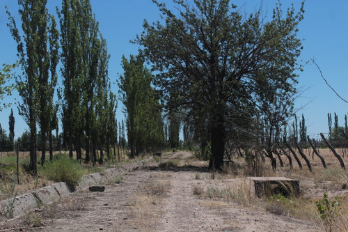 Imagen 19 de 30 de Vendo Finca 57 Hectareas Con Dos Perforaciones En Goudge- San Rafael