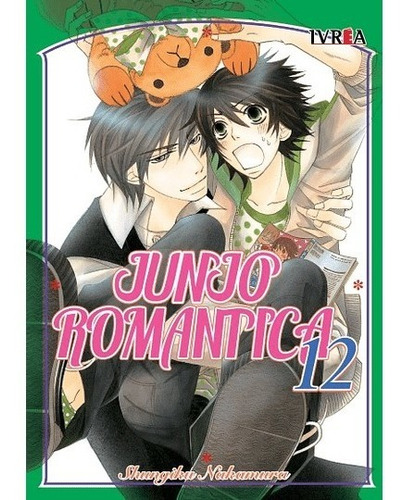 Manga Junjo Romantica Vol.12 - Ivrea