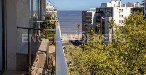 Imagen 4 de 15 de Refinado Apartamento A La Venta En Pocitos