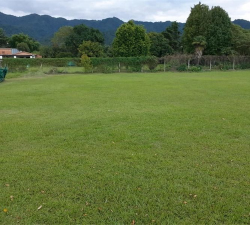 Imagen 3 de 5 de Lote | Yerba Buena