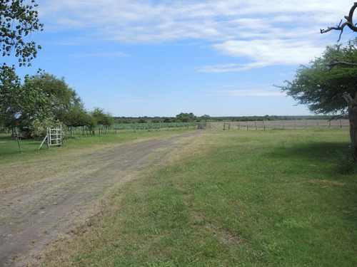 Campo En Venta, Villaguay, Entre Ríos
