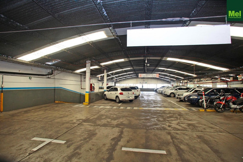 Imagen 30 de 30 de Garage, Vehicular O Para Todo Destino, Porton Automatico