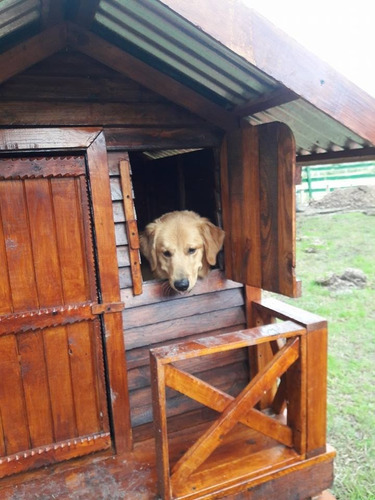 Cucha Casa Para Perro Grande - Modelo Premium