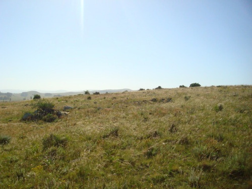 Campo En Venta En Lavalleja, 5 Hectáreas.