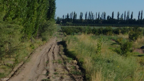 Imagen 4 de 14 de Vendo Finca Cañada Seca San Rafael Mendoza