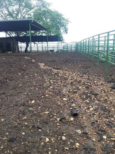 Imagen 9 de 14 de Finca 2.500 Hectáreas En Guárico, Vía El Sombrero
