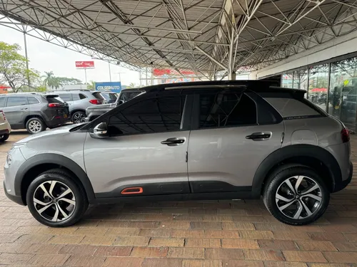 C4 Cactus Shine