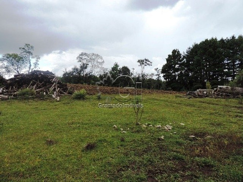 Imagem 15 de 15 de Area - Mato Queimado - Ref: 2753 - V-gi2759