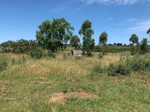 Vendo Muy Linda Chacra Con 3 Casas, 2 Galpones Y Un Parque Arbolado Único!!!!!!!!!!