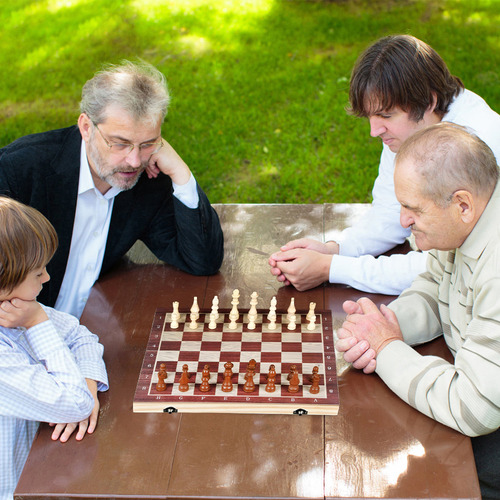 Juego De Damas De Ajedrez Y Ajedrez De Madera Para Entertain