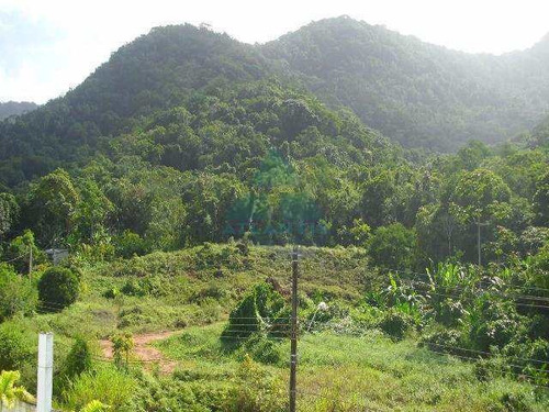Imagem 17 de 27 de Apartamento Com 2 Dorms, Praia Do Sapê, Ubatuba - R$ 275 Mil, Cod: 910 - V910