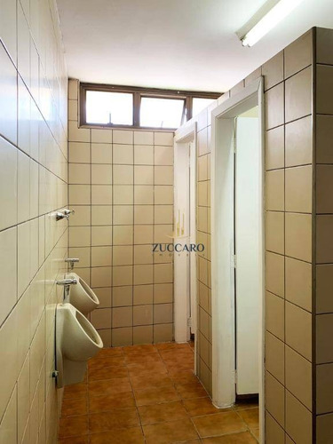 Galpão Para Alugar, 1233 M² Por R$ 32.000/mês - Vila Palmeiras - São Paulo/sp - Ga1659