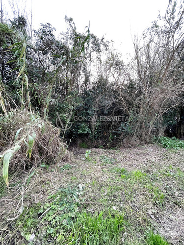 Casa Venta 2 Dormitorios Manga Amplio Terreno