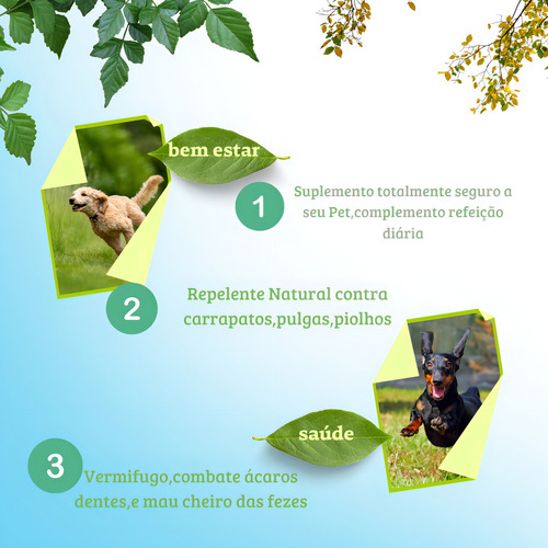 Suplemento Natural Orgânico A Base De Neem Nin Indiano Cães