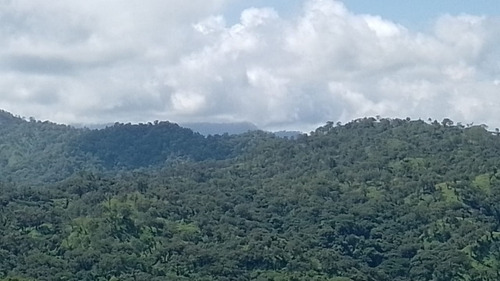 Oportunidad De Inversión En Chiapas: Rancho De 10 Hectáreas Con Documentación Al Día Y Plusvalía En Crecimiento