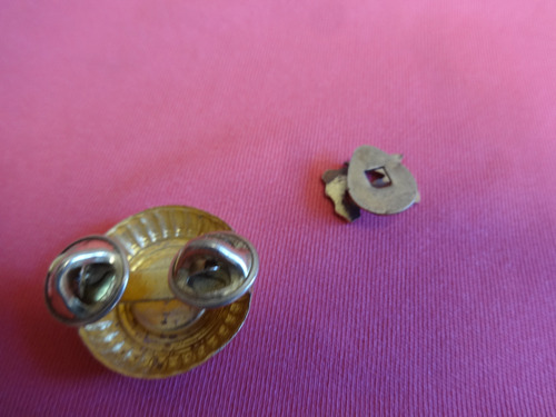 2 Militaria Pin Antiguo Escudo Gendarmeria Nacional Metal (Usado)