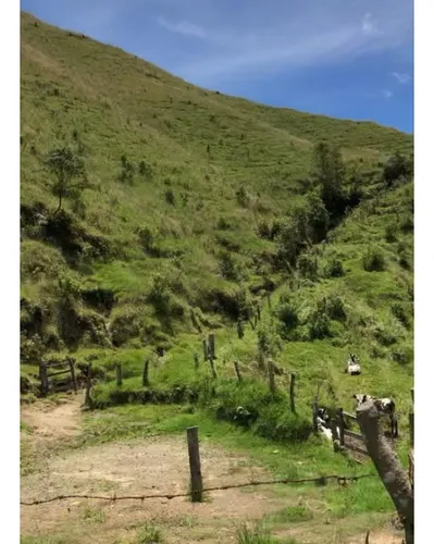Venta De Finca En Paramillo, Tolima | Fincas En Venta