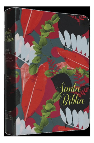 Biblia Rvro65 Cb Colores