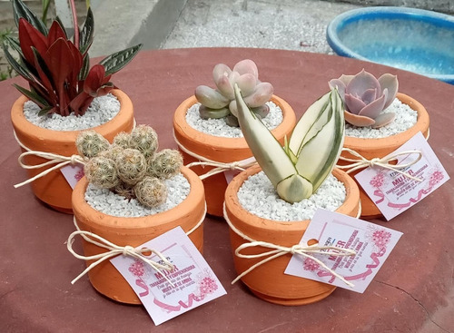Imagen 3 de 10 de Recuerdos Plantas, Cactus Y Suculentas, Souvenirs, Barro