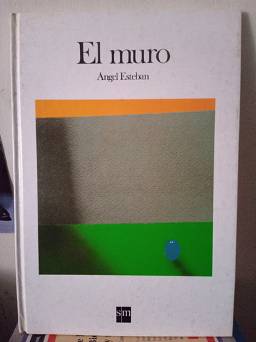 El Muro. Ángel Esteban 