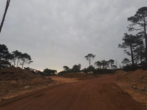Imagen 5 de 30 de Terreno En Venta Con Financiación - 4 Cuadras De La Playa Montoya