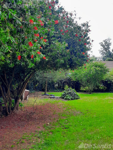 Terreno En Bosque Peralta Ramos