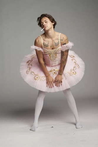 Frazada Cobija Polar Delgada Viajera Harry Styles