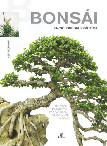 Bonsai Enciclopedia Practica - Norman, Ken