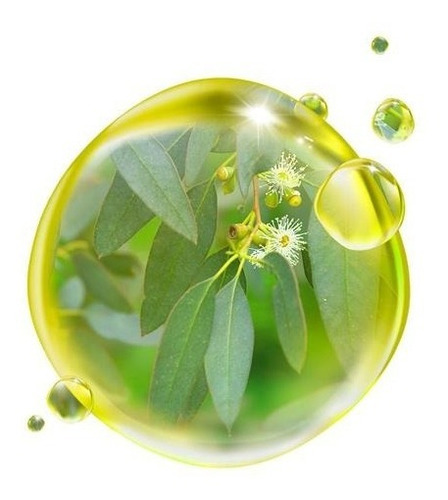 Óleo Essencial Eucalipto 10ml Roll On - Puro E Natural
