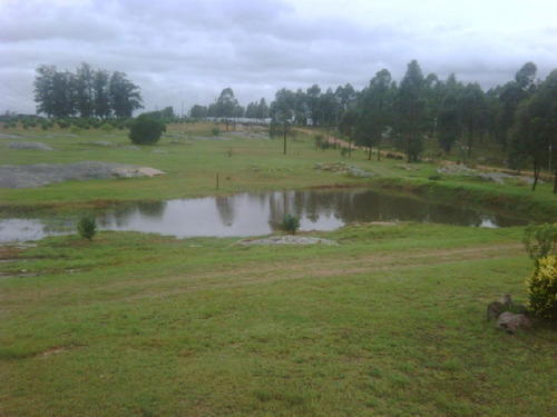 Ruta 12 Chacra De 5 Has Casa De 160 M2 - Ref: 8161