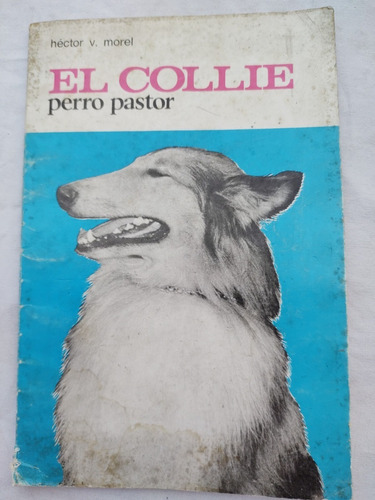 El Collie Perro Pastor - Hector Morel