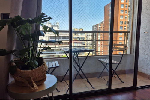 Vivir En Un Lugar Lleno De Opciones En Providencia