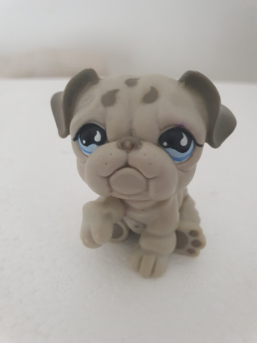 Littlest Pet Shop Bulldog 7