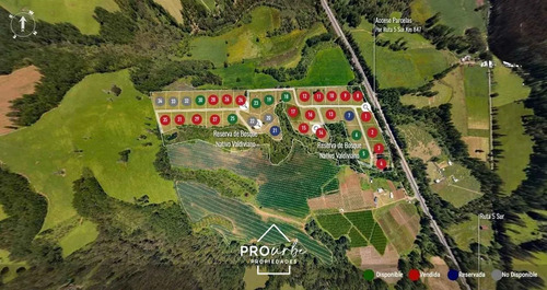 Terreno 5.000 M2 En Venta En Paillaco