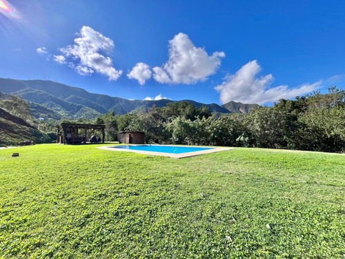 Gran Parcela En Arriendo Olmué