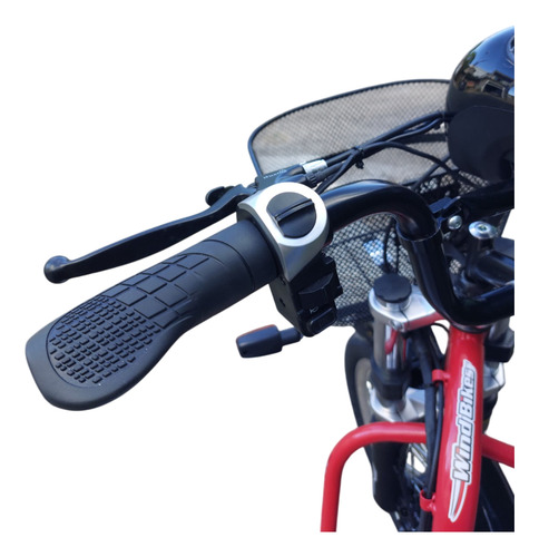 Triciclo Elétrico Modelo Advanced 1000 Watts 48 Volts 30ah