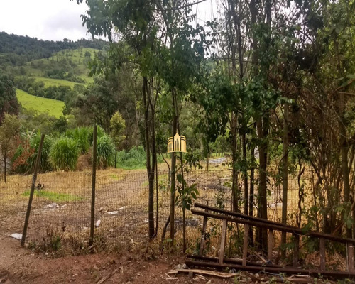 Imagem 3 de 11 de Chácara Em Esmeraldas - St00139 - 69925233